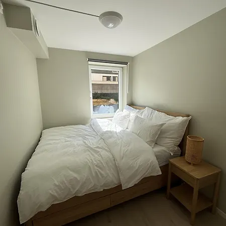 Daire High Standard In